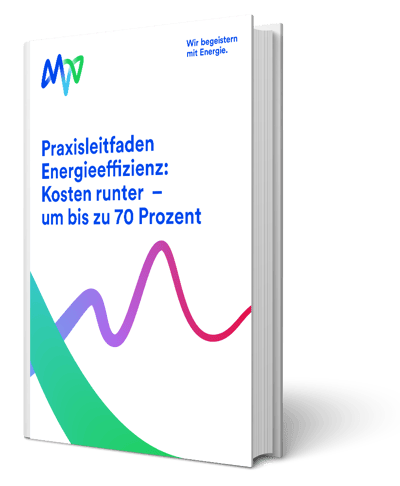 E-Book-Energiekosten sparen_Buch-vertikal_MVV_neues-CD_230314