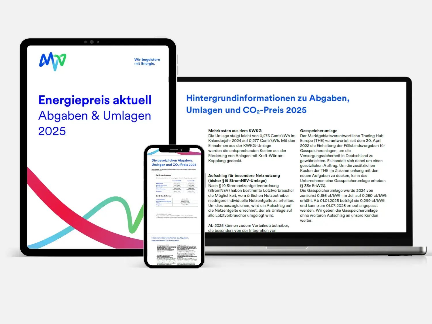 teaser-uebersicht_whitepaper_abgaben-und-umlagen-2025