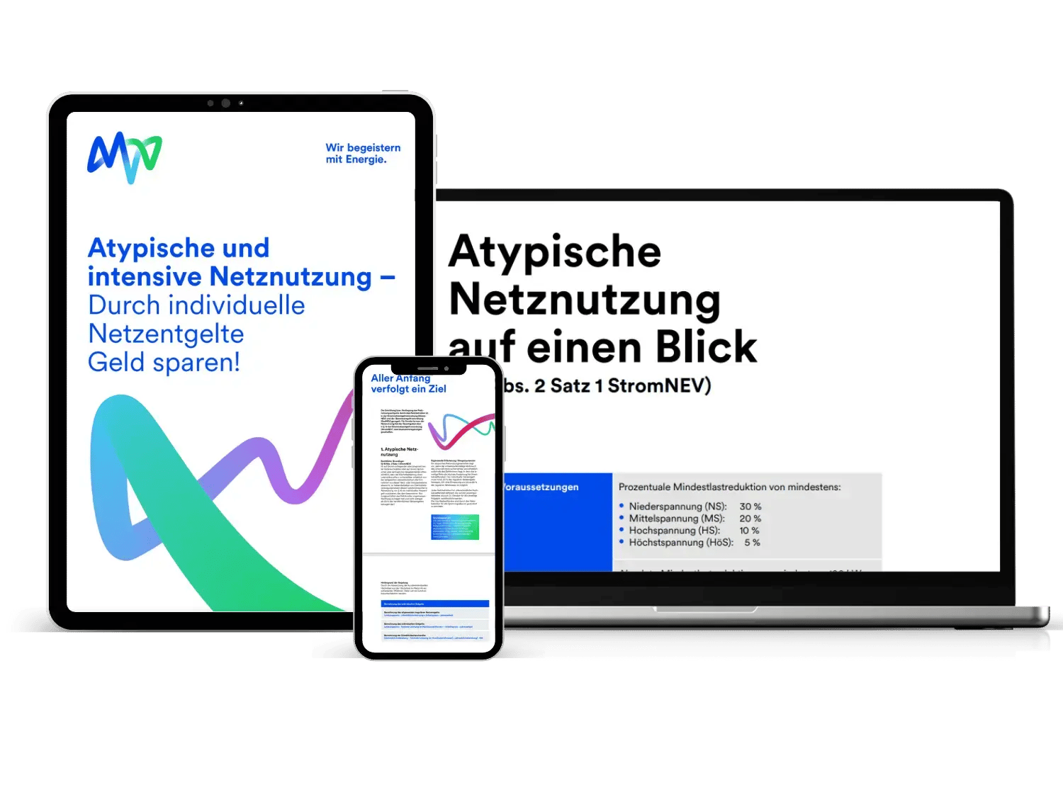 teaser_whitepaper_netzentgelde