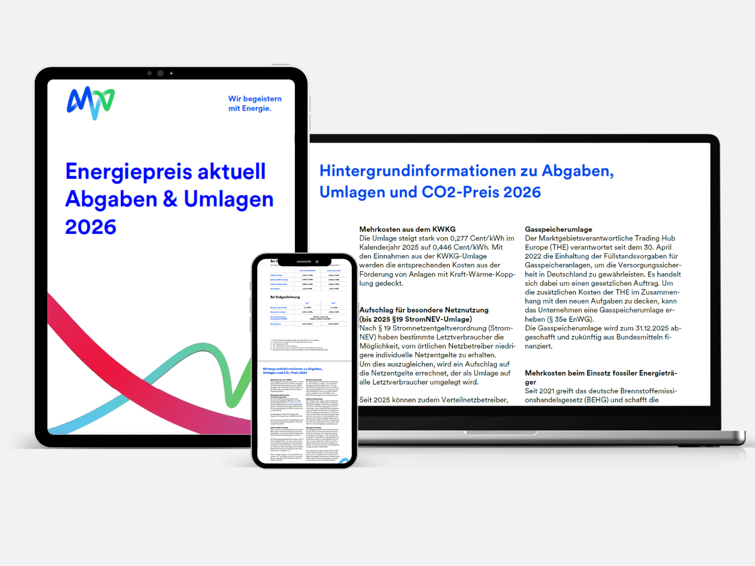teaser-uebersicht_whitepaper_abgaben-und-umlagen_2026httpspartner.mvv.deblogenergiepreis-aktuell-abgaben-umlagen-2026
