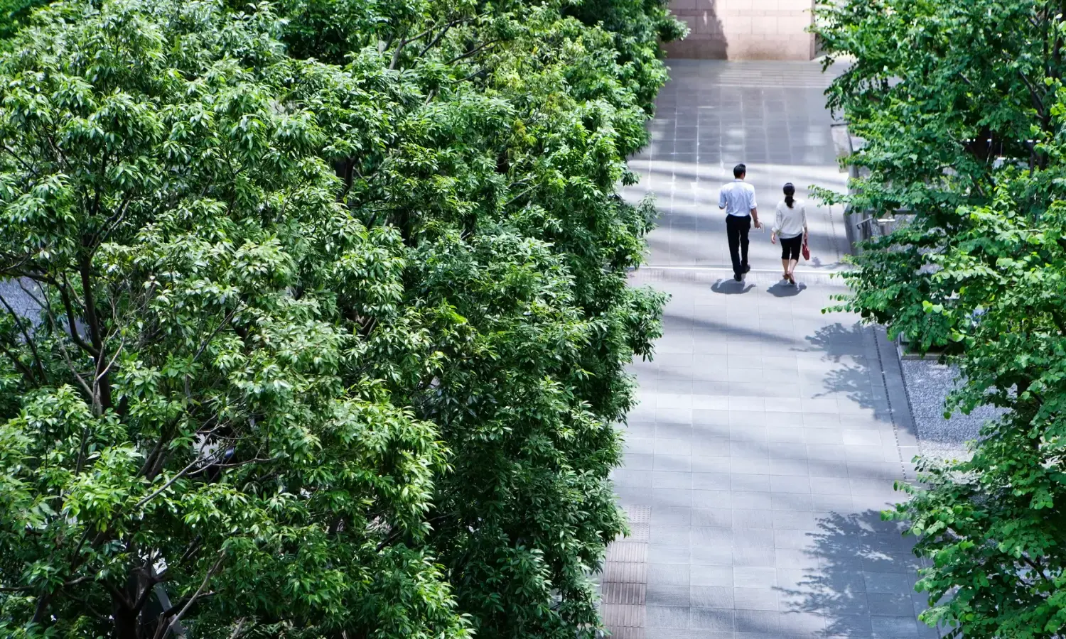 Product Carbon Footprint